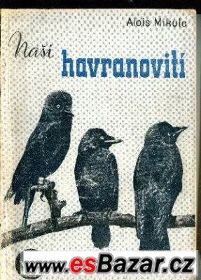 Naši havranovití - Alois Mikula