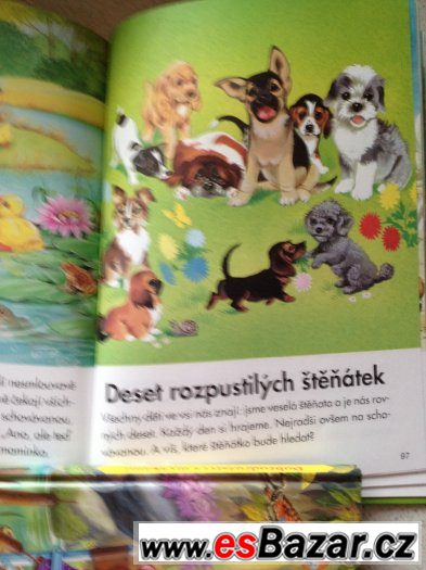Zapomnětlivý Punťa Zapomnětlivý Punťa