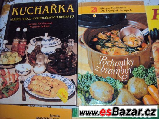 Kuchařky a kuchařské sešity s recepty (2)