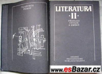 čeština a angličtina