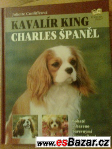 Kavalír King Charles Španěl