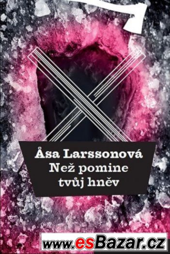 Asa Larssonová - Než pomine tvůj hněv