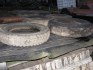 prodam-gumu-5-25-16