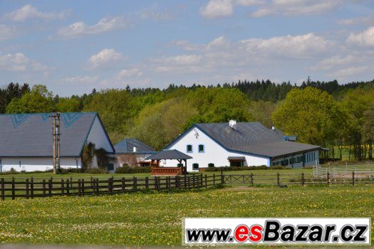 Pracovní jezdec-ošetřovatel dostihových koní Pracovní jezdec-ošetřovatel dostihových koní