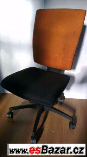 Kancelářská židle RIM Anatom