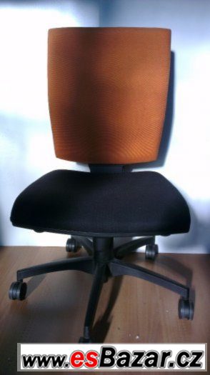 Kancelářská židle RIM Anatom