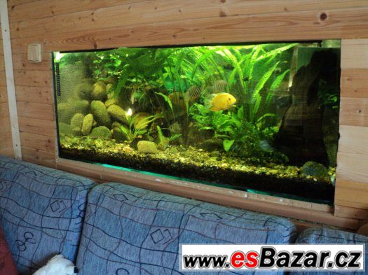 akvarium-216-litru