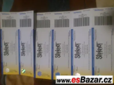 Lístek Vstupenka  na Slipknot v Praze