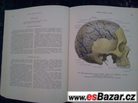 Anatomie člověka Anatomie člověka