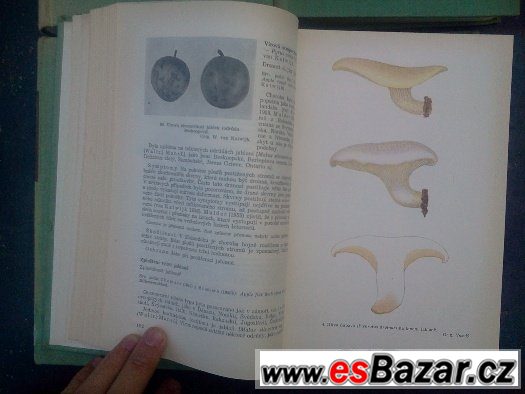 Zemědělská fytopatologie, Naše jedovaté rosliny Zemědělská fytopatologie, Naše jedovaté rosliny