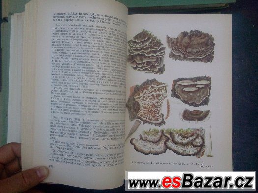 Zemědělská fytopatologie, Naše jedovaté rosliny Zemědělská fytopatologie, Naše jedovaté rosliny