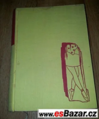 Prodám knihu Zloděj kroků