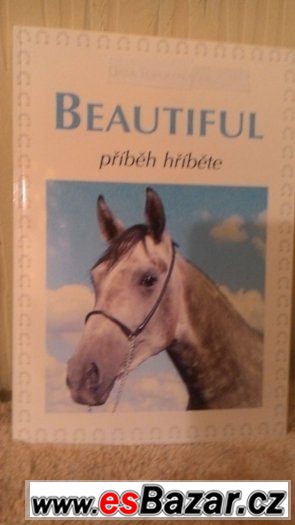 prodam-beautiful-pribeh-hribete