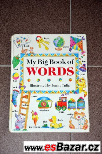 MY BIG BOOK OF WORDS_ANGLIČTINA PRO DĚTI