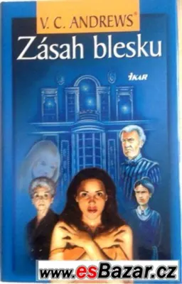 Virginia Andrewsová - Zásah blesku