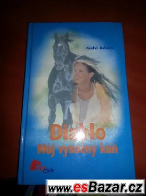 Diablo, můj vysněný kůň