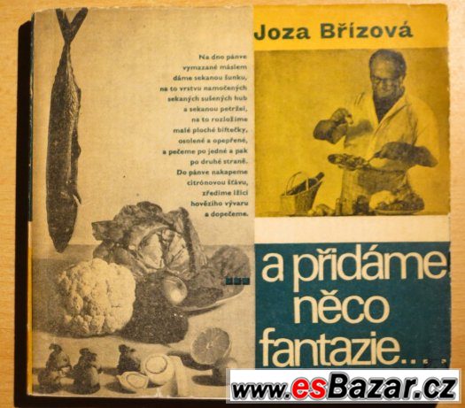 J. Břízová - ...a přidáme něco fantazie