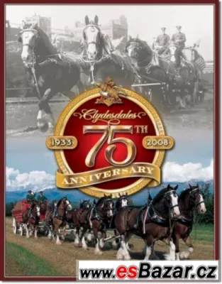 75 ANNIVERSARY - plechová cedule 410x320mm