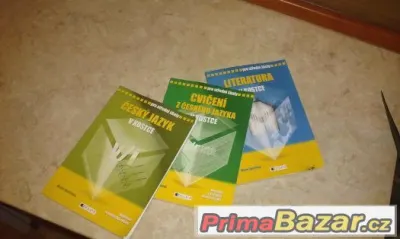 Cesky jazyk v kostce