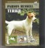 Kniha Parson Russell Teriér cena 89 kč
