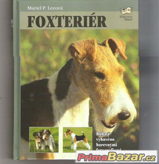 Kniha Foxteriér    cena 89 kč