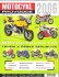 Katalog motocyklů 2006. Cena 50 kč