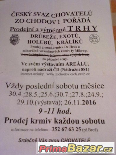 TRHY-CHODOV SOKOLOV