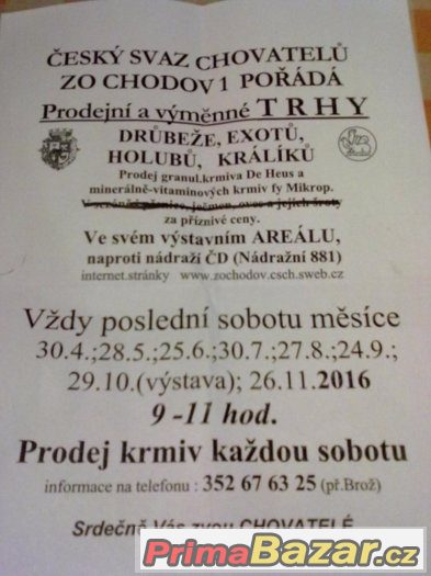 TRHY-CHODOV SOKOLOV