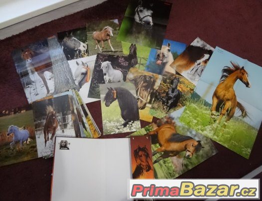 20 x nové osmisměrky