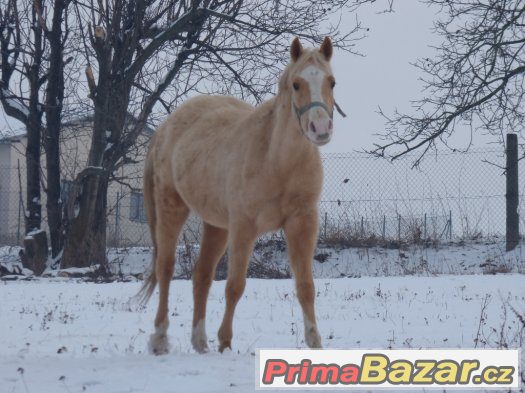 blonďatý úžasńák -WPBr