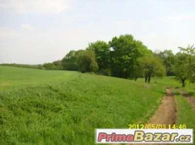 koupím male auto bez spz do lesa