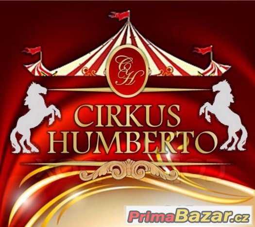 Práce v cirkusu Humberto