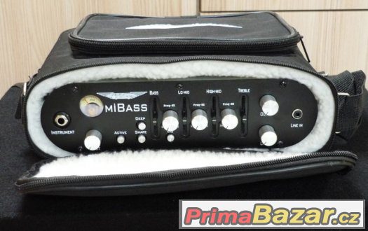 Ashdown MiBass 220+Reprobedna