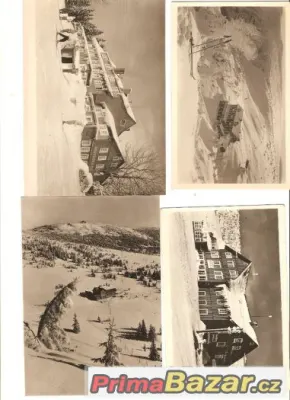 pohlenice Krkonoš