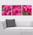 Trojdílné panorama - RŮŽOVÉ TULIPÁNY - velikost 90x30 cm