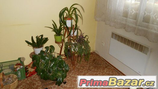 Prodám