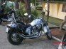 honda-shadow-600-usa