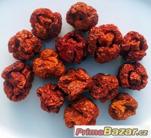 Trinidad Scorpion Moruga - mleté chilli a sušené celé plody