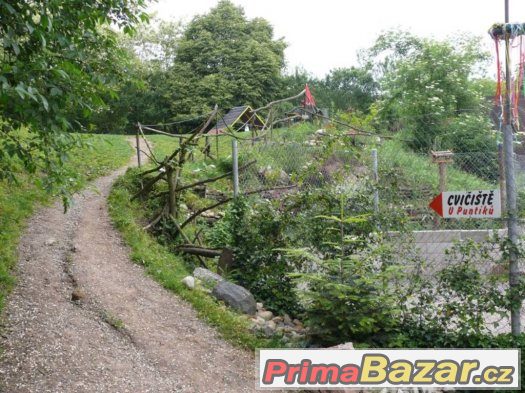 Výcvik všech plemen psů - cvičiště U Puntíků