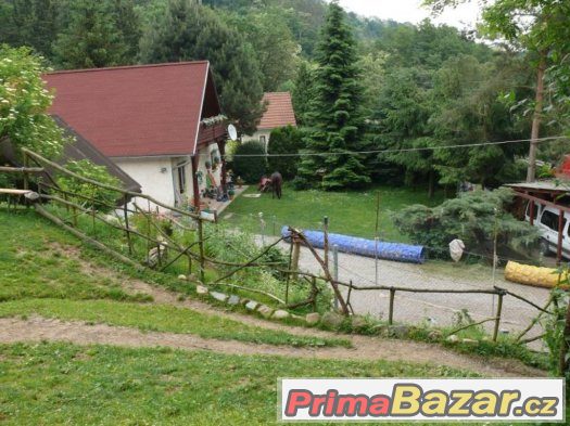 Výcvik všech plemen psů - cvičiště U Puntíků Výcvik všech plemen psů - cvičiště U Puntíků