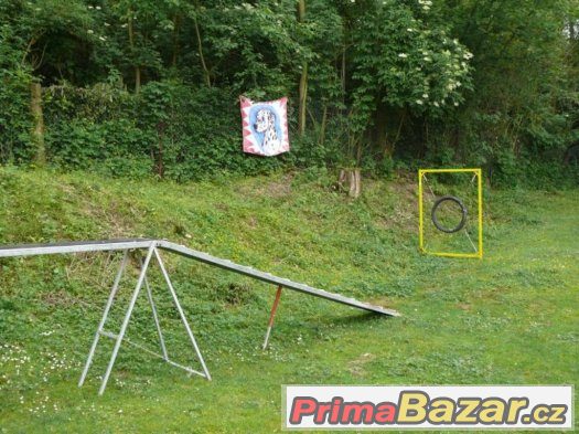 Výcvik všech plemen psů - cvičiště U Puntíků Výcvik všech plemen psů - cvičiště U Puntíků