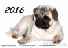 Kalendář Mopsíci 2016 - NOVÉ (dvouměsíční)