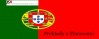 Překady a tlumočení Portugalština