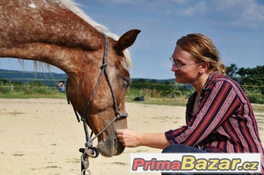 HORSEMANSHIP pro začínající koňáky ;-)