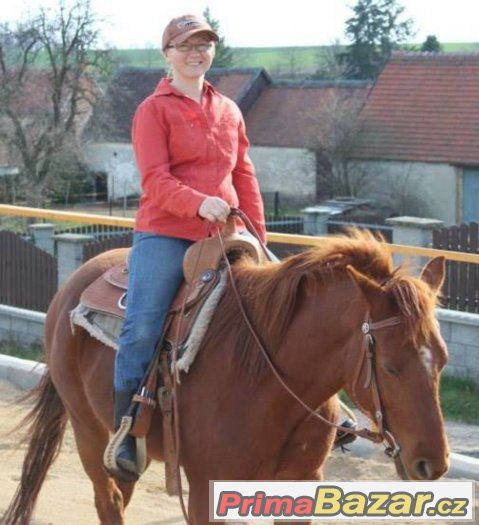 HORSEMANSHIP pro začínající koňáky ;-)