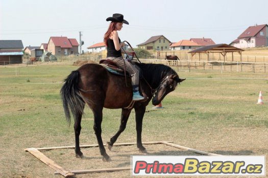 HORSEMANSHIP pro začínající koňáky ;-)