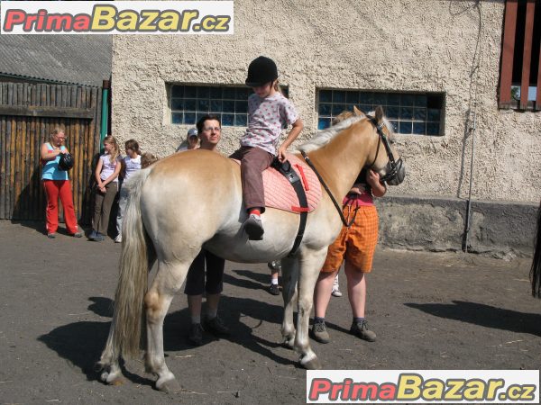 Ježdění na koních pro děti