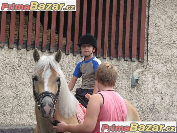 Ježdění na koních pro děti