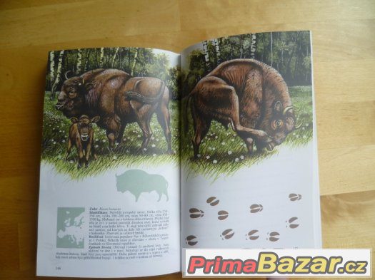 knih Savci střední Evropy knih Savci střední Evropy