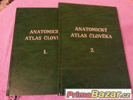 netteruv-anatomicky-atlas-cloveka-frank-h-netter